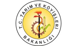 K2m Bilişim Referanslarımız